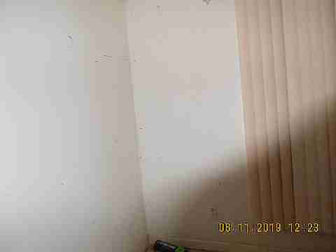 19333 Eureka (20)_m.jpg